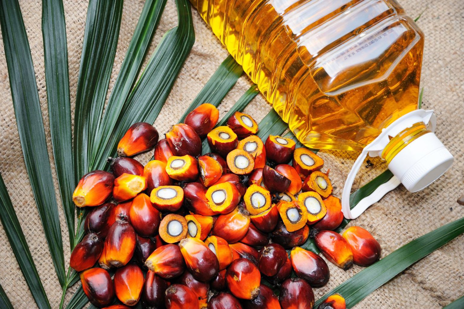 Big Nepali investments in oil processing at risk after India’s palm oil ban