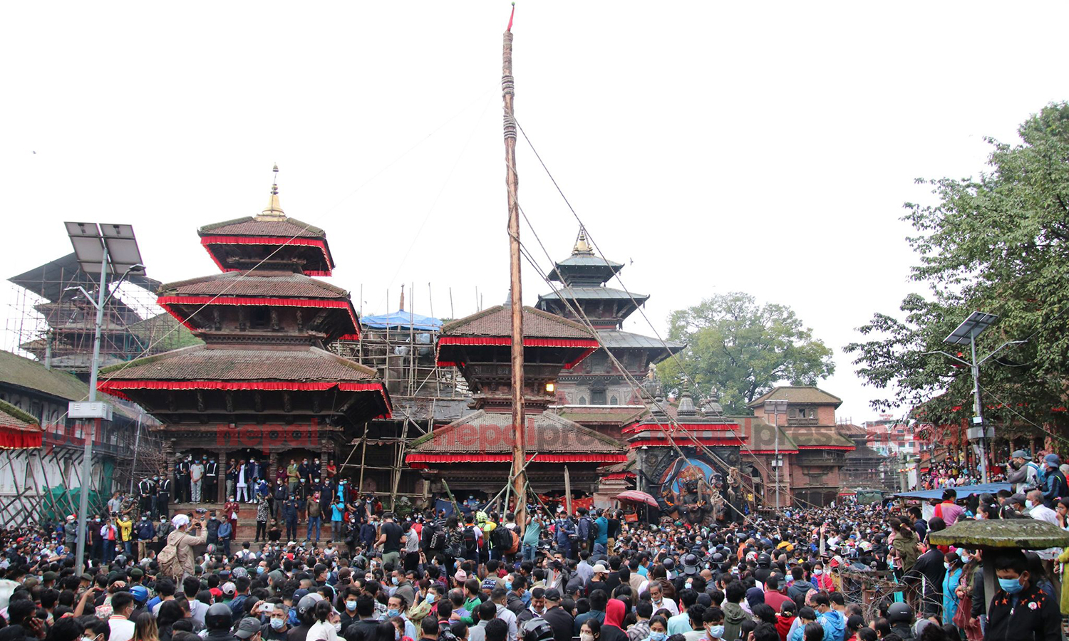 Indra Jatra festival formally begins today with erection of lingo (With photos)