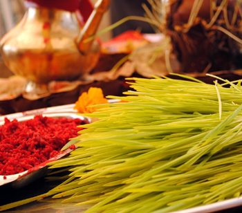 Dashain festival: Tika and jamara rituals continue