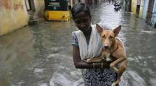 Heavy rains flood Chennai, IMD sounds red alert