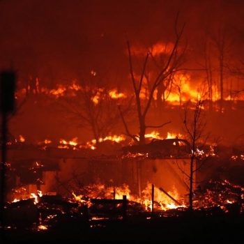 Wildfire destroys around 300 hectares of forest in Udayapur