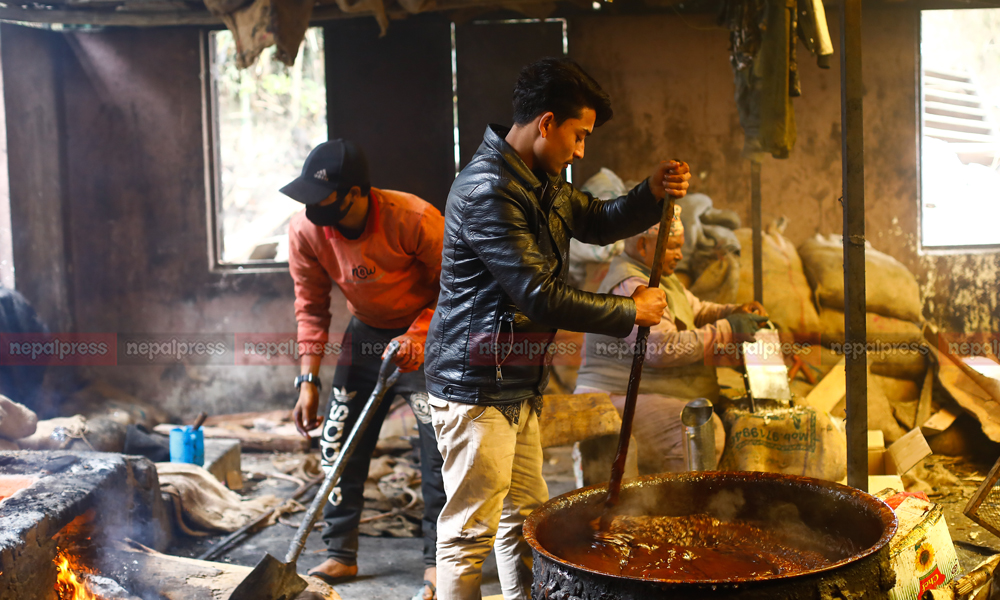 Tokha residents busy in making chaku for Maghe Sankranti (With photos and video)