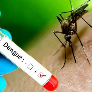 Eight dead of dengue infection in Gandaki in last 10 months