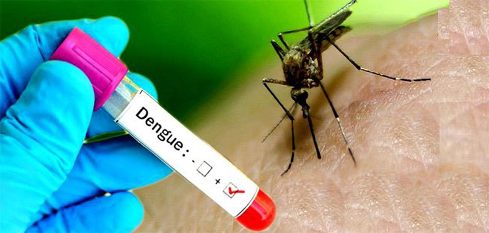 Three die of dengue infection in Tanahun