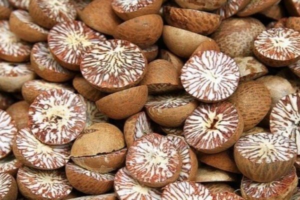 House panel directs government to stop import of betel nuts