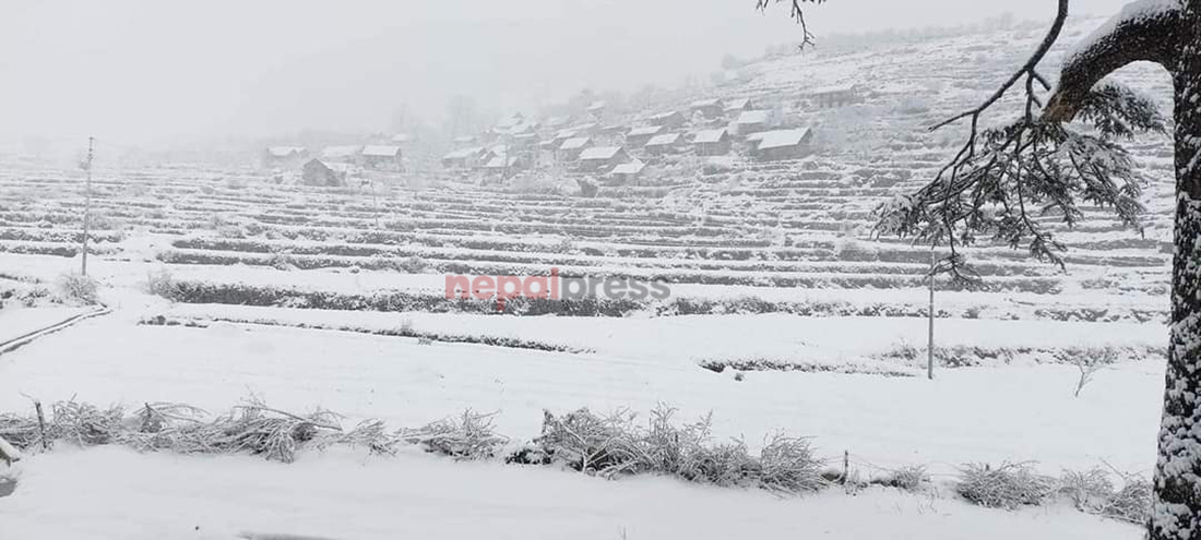 Himalayan districts of Karnali Province witness snowfall (With photos)