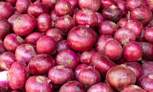 Kalimati Fruits and Vegetables Market fixes price of onion after two days