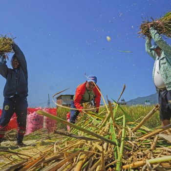 As monsoon exit delayed, farmers urged to postpone harvesting plan