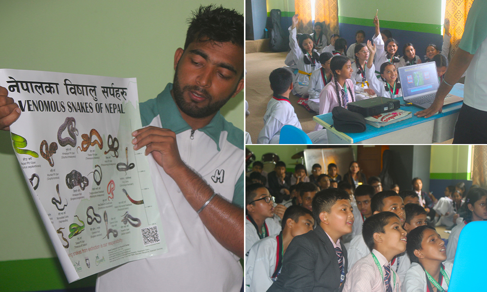 Motivating young minds for snake conservation