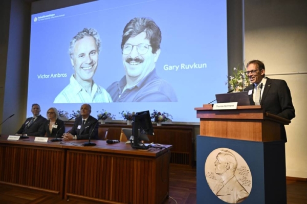 Nobel Prize in medicine honors American duo for their discovery of microRNA