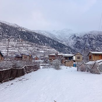 Snowfall affects normal life in Humla