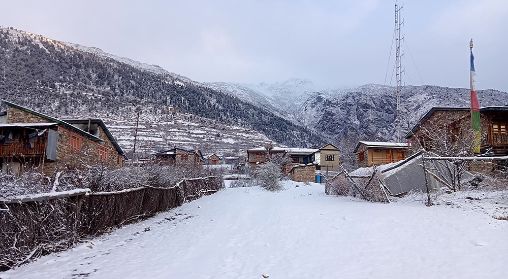 Snowfall affects normal life in Humla