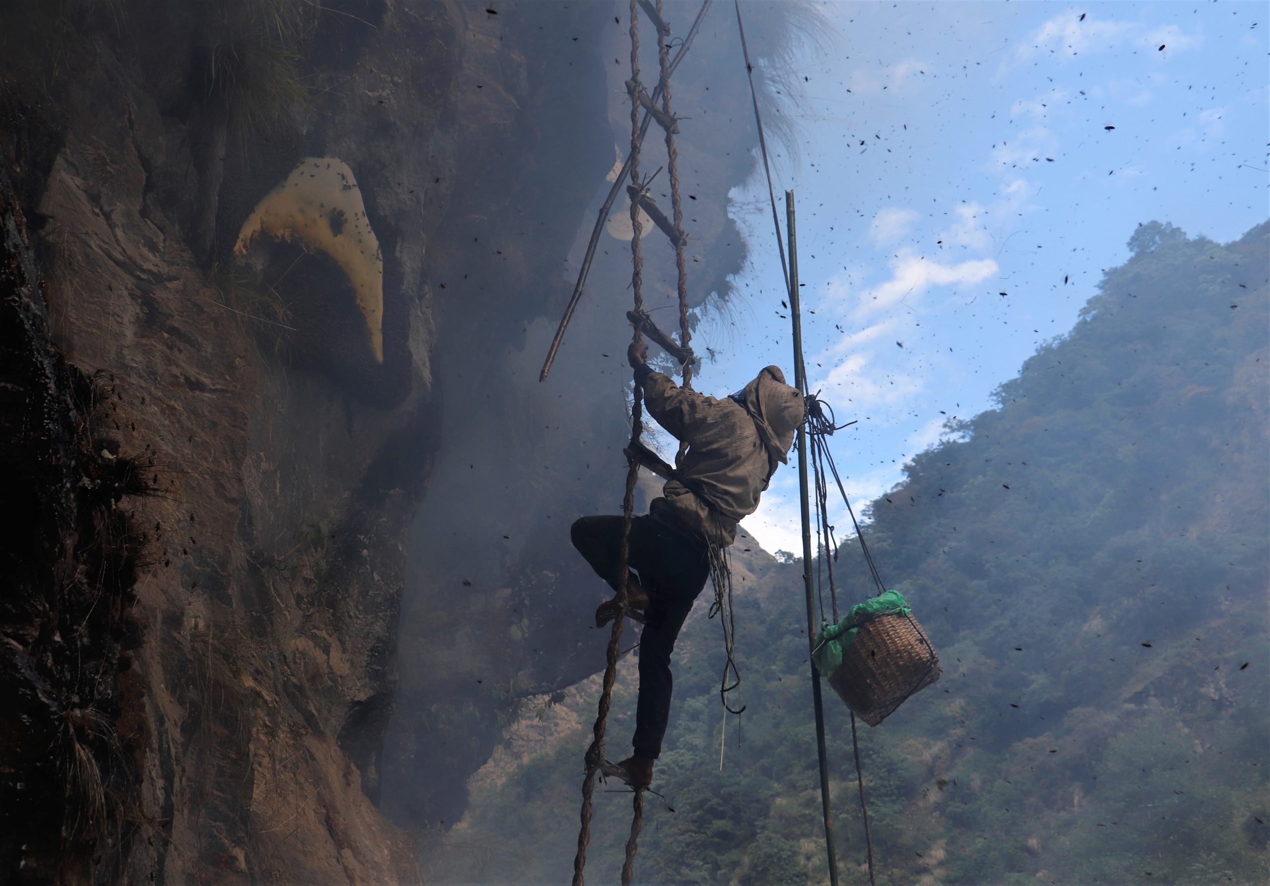 The world’s rarest honey finds its origins in Nepal