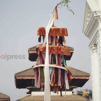 Chir installed in Basantapur to mark beginning of Holi (With photos)